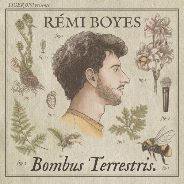 REMI BOYES